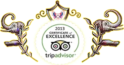 TripAdvisor Excellence Award 2013